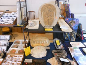 2021 Washingnton, PA Gem, Mineral, Jewery & Fossil Show May 1-2, 2021