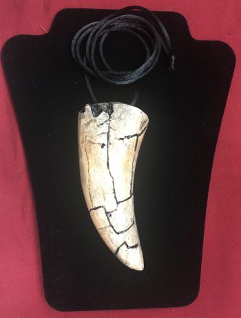 5.5 Inch Tyrannosaurus rex Tooth necklace pendant