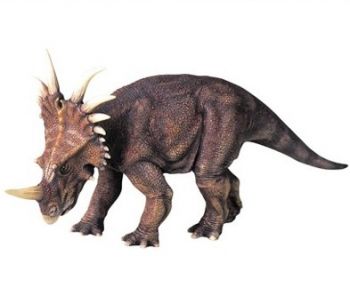 Styracosaurus Model