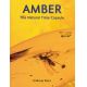 Amber by Andrew Ross