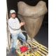 Giant Megalodon (Otodus megalodon) tooth