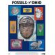 Fossils of Ohio, poster NOW 25% OFF