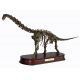 Brachiosaurus Skeleton Model LAST ONE
