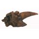 Dracorex hogwartsia, Squamusal Horn Cast  Replica 