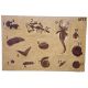 4x6 Foot Fossil Dig Panels 4 Different Ones Sold Separately