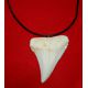 Carcharodon carcharias (Great White Shark) Tooth Pendant Replica