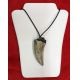 Tyrannosaur rex, shed or broken tooth pendant with serrations