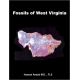 Fossils of West Virginia, 2 Volume Set, color version