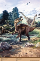 Baryonyx & Brachiosaurus, poster NOW 25% OFF