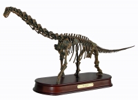 Brachiosaurus Skeleton Model LAST ONE
