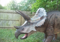 Triceratops Statue Model 14 Foot Life-Size, Life-Like 
