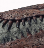 Spinosaurus Skull, Life-Size Wall Relief Sculpture