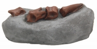 Ornithomimid rear toe & digits