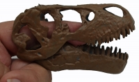 3D Tyrannosaurus rex Skeleton Kit With 60 Pieces