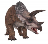 Triceratops Baby Model nearly 3 feet long