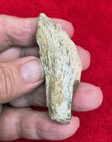 Authentic Tyrannosaurus rex Bone in Acrylic Display Case