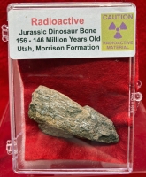 Radioactive Dinosaur Bone in Acrylic Display Case