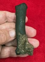 Authentic Pleistocene Tapir Bone, Tapirus veroensis, in Acrylic Display Case