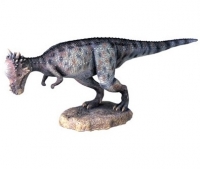 Pachycephalosaurus Model