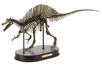Spinosaurus, skeleton LAST ONE
