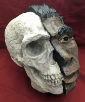 Neanderthal, early human skull 1/2 skull & 1/2 flesh reconstruction