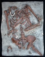 Neanderthal Skeleton, Kebara Cave Burial