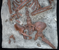Neanderthal Skeleton, Kebara Cave Burial