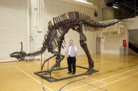 Tsintaosaurus  complete skeleton replica rental